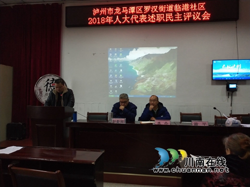 龙马潭区罗汉街道：人大代表述职评议&nbsp;自觉接受民众监督(图2)