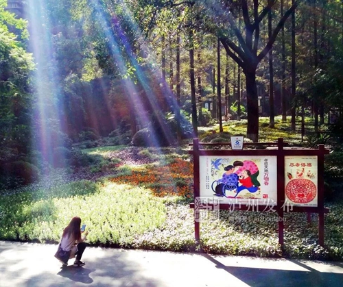 请509万泸州市民转发，因为这件事关乎你我！(图9)