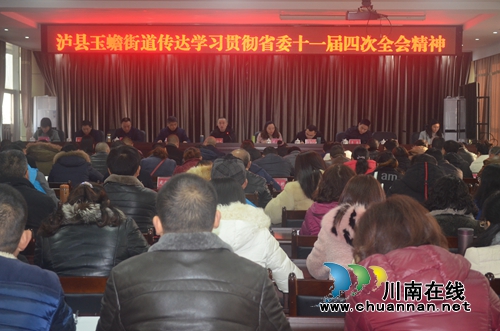 泸县玉蟾街道召开传达学习贯彻省委十一届四次全会精神(图1)