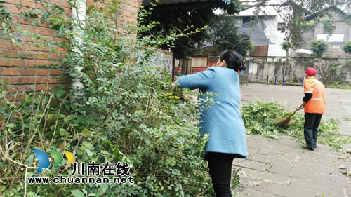 泸县立石镇党员志愿者开展志愿服务活动(图2)