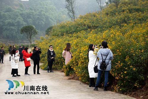 冬天里的春天!到金夫人婚纱摄影基地感受浪漫(图2) 冬天里的春天!到金夫人婚纱摄影基地感受浪漫(图2)