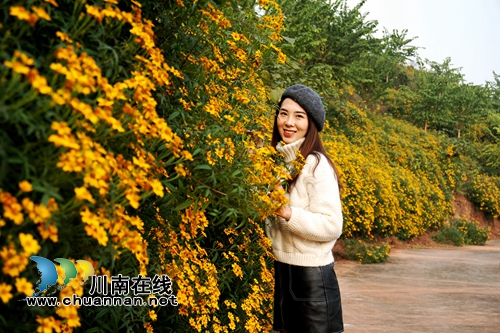 冬天里的春天!到金夫人婚纱摄影基地感受浪漫(图6) 冬天里的春天!到金夫人婚纱摄影基地感受浪漫(图6)