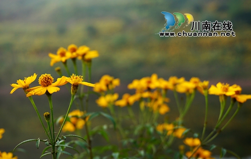 冬天里的春天!到金夫人婚纱摄影基地感受浪漫(图8) 冬天里的春天!到金夫人婚纱摄影基地感受浪漫(图8)