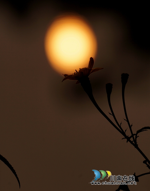 冬天里的春天!到金夫人婚纱摄影基地感受浪漫(图9) 冬天里的春天!到金夫人婚纱摄影基地感受浪漫(图9)