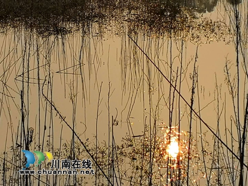 冬天里的春天!到金夫人婚纱摄影基地感受浪漫(图12) 冬天里的春天!到金夫人婚纱摄影基地感受浪漫(图12)