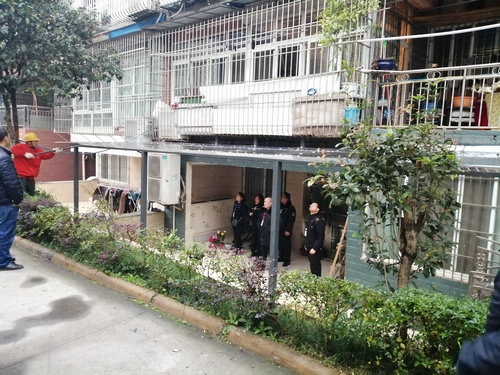 龙马潭区城管局出重拳&nbsp;拆除鹿港小镇两处违建(图1)