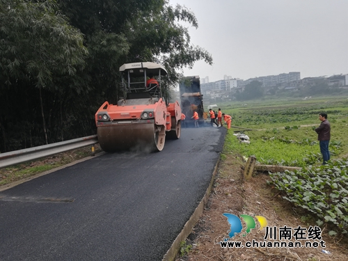 龙马潭区罗汉街道开展农村公路安全隐患整治(图1)