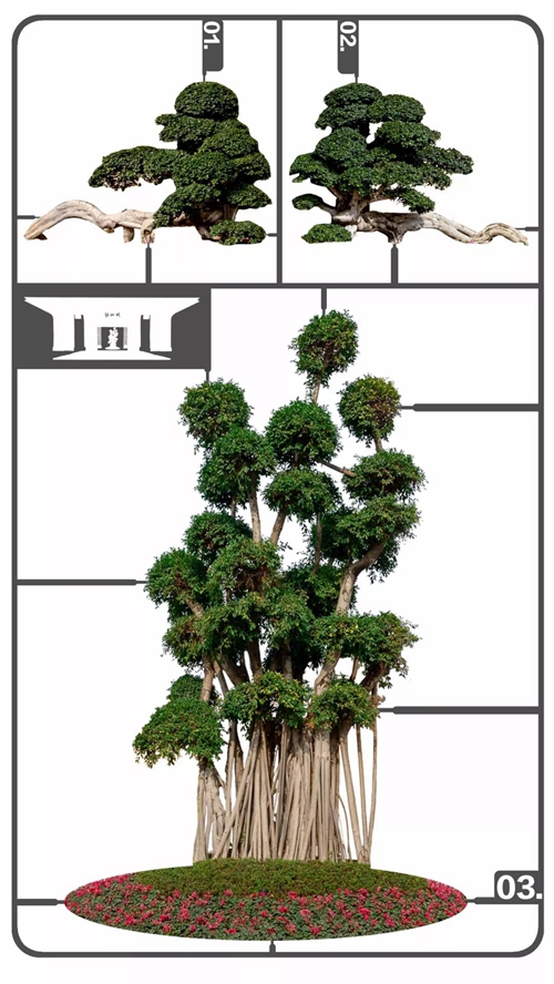 泸州绿地：60天，从零开始造一座“城”(图1)