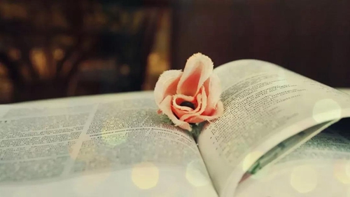 倒计时21天！西南医大中医院又将迎来大事？(图2)