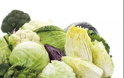 冬至都说是进补大好时节！请告诉我该怎么补(图8)