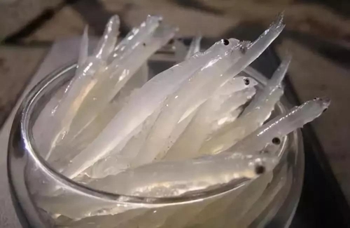 冬至都说是进补大好时节！请告诉我该怎么补(图9)