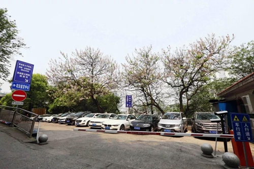 10年前她患上恶性肿瘤，20次化疗后一头乌发(图4)