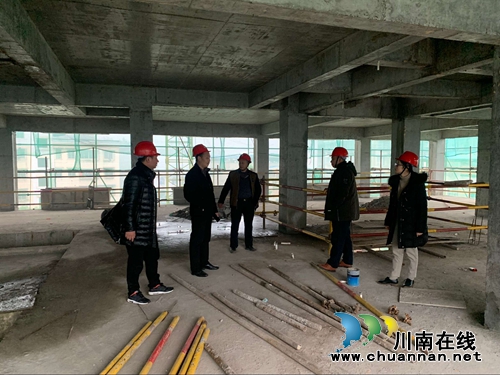 泸县海潮镇开展安全生产大检查(图1)