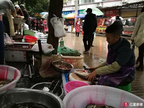 处理一条鱼只需30秒？内江“杀鱼哥”走红(图2)