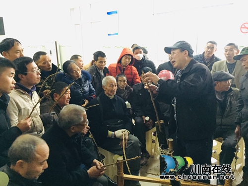 泸州市龙眼良种高换示范培训会在泸县潮河镇举行(图1) 泸州市龙眼良种高换示范培训会在泸县潮河镇举行(图1)