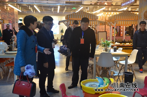 江阳区华阳街道人大工委、政协委员联络组联合开展视察调研活动(图1)