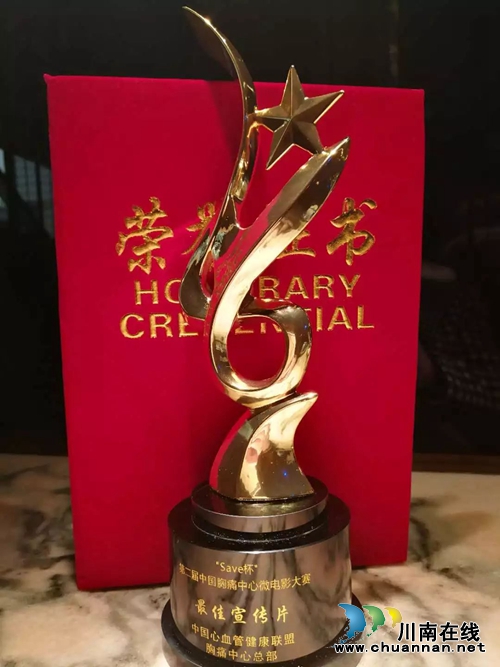 西南医大中医院荣获6项全国大奖(图1) 西南医大中医院荣获6项全国大奖(图1)