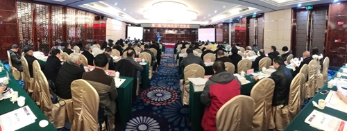 第二批“泸州全书”正式首发(图1)