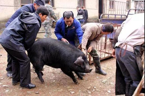 送温暖献爱心找童趣&nbsp;古蔺山村邀请您过腊八节(图6)