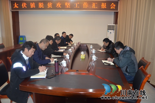 泸县县委常委、统战部部长张福荣到太伏镇督导脱贫攻坚工作(图1)