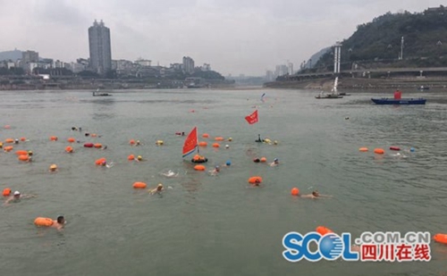 宜宾1600余名游泳爱好者横渡长江迎接新年(图1)