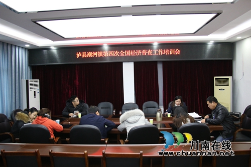 泸县潮河镇开展第四次全国经济普查培训(图1)