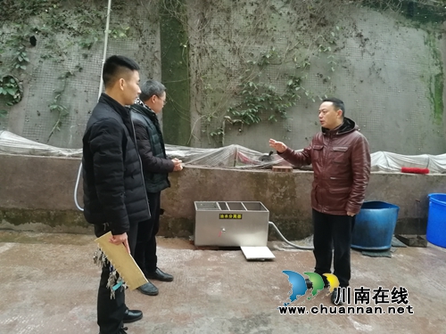 陈益良到合江九支中学督查泔水处理工作(图3)