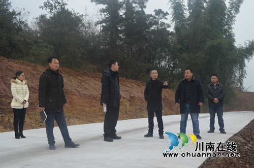 泸县玉蟾街道开展重点项目推进情况调研(图2)