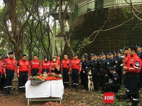 叙永滑坡救援疑似接触剧毒&nbsp;搜救犬猪小贱牺牲(图2)