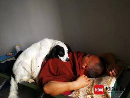 叙永滑坡救援疑似接触剧毒&nbsp;搜救犬猪小贱牺牲(图8)