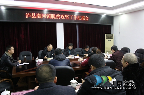 陈佳到泸县潮河镇督导河长制、安全及脱贫攻坚工作(图1)