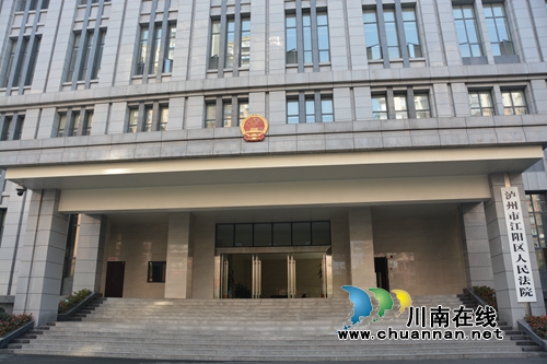 江阳区法院走访省人大代表刘家琴(图6)