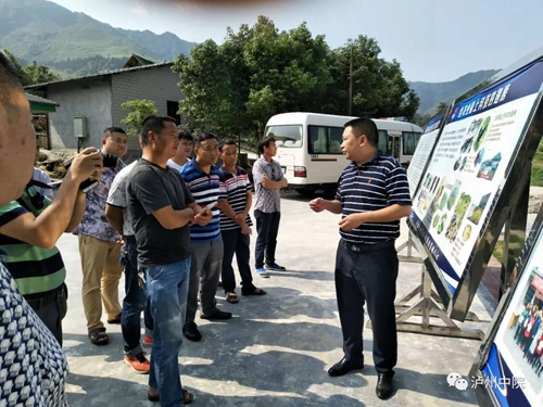 老金：乐郎的“红娘”“说媒”送“嫁妆”！(图6)