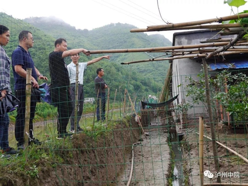 老金：乐郎的“红娘”“说媒”送“嫁妆”！(图8)