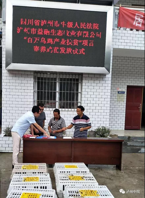 老金：乐郎的“红娘”“说媒”送“嫁妆”！(图9)