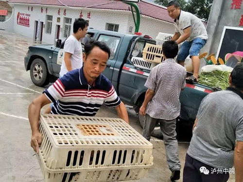 老金：乐郎的“红娘”“说媒”送“嫁妆”！(图10)