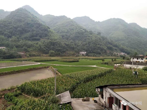 老金：乐郎的“红娘”“说媒”送“嫁妆”！(图19)