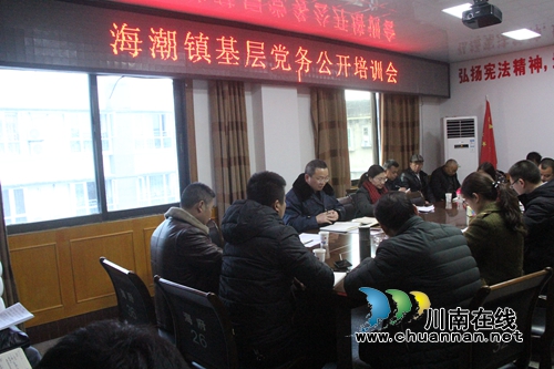 泸县海潮镇召开基层党务公开培训会(图1)