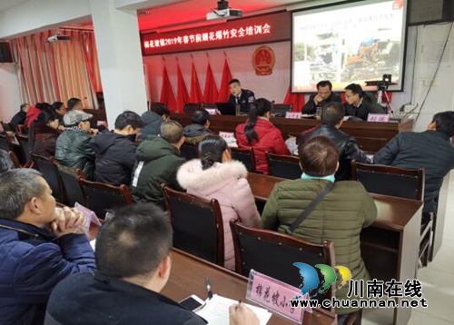 纳溪区棉花坡镇开展2019年春节前烟花爆竹安全培训(图1)