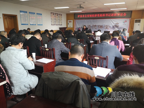 泸县召开非公有制经济党组织书记述职评议会(图2)