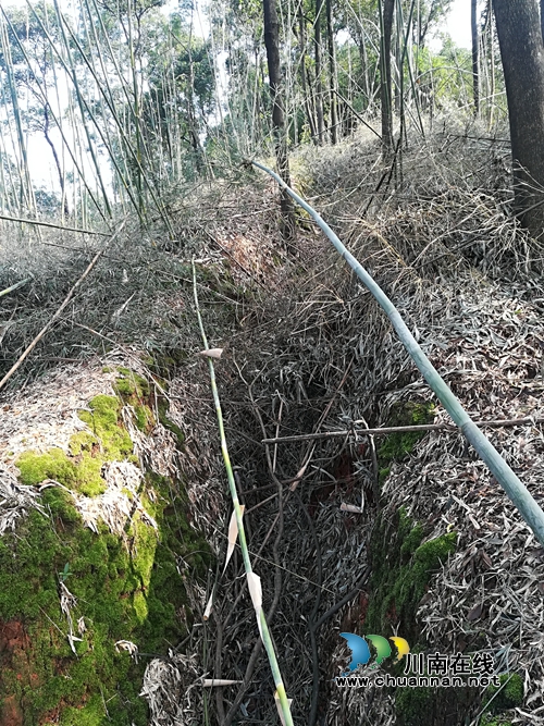 纳溪发现深藏大山的疑似护国军战壕遗址(图1)