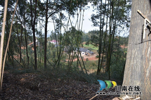 纳溪发现深藏大山的疑似护国军战壕遗址(图3)