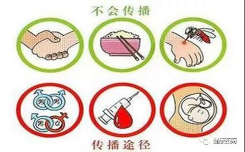 事关艾滋病&nbsp;这些你必须知道(图3)