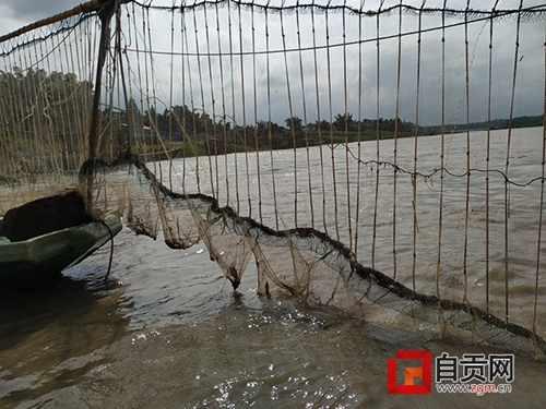 农业部寄来感谢信—— 一位自贡人获点名表扬(图7) 农业部寄来感谢信—— 一位自贡人获点名表扬(图7)