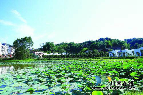 合江县3个村荣获省级“文化扶贫示范村”称号(图6)