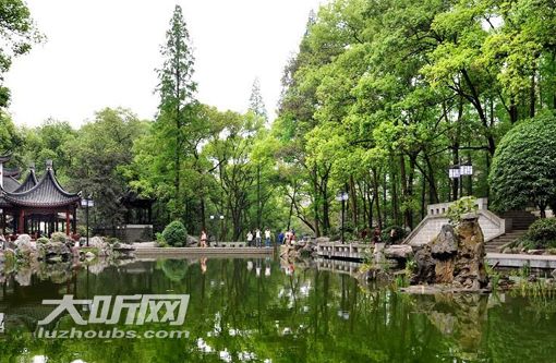 秒懂！泸州市人民政府工作报告中41个名词解释(图5)