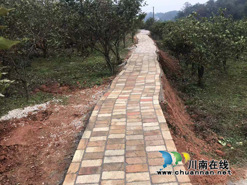 宜宾大坪乡桅子花基地又添“一景”(图1)
