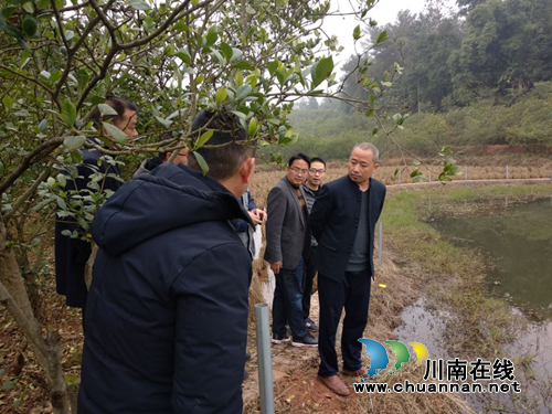 宜宾大坪乡桅子花基地又添“一景”(图2)