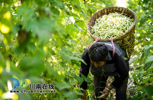 首届“寻找弥陀美景”摄影大赛评选揭晓(图27)