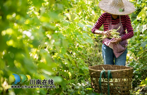 首届“寻找弥陀美景”摄影大赛评选揭晓(图26)